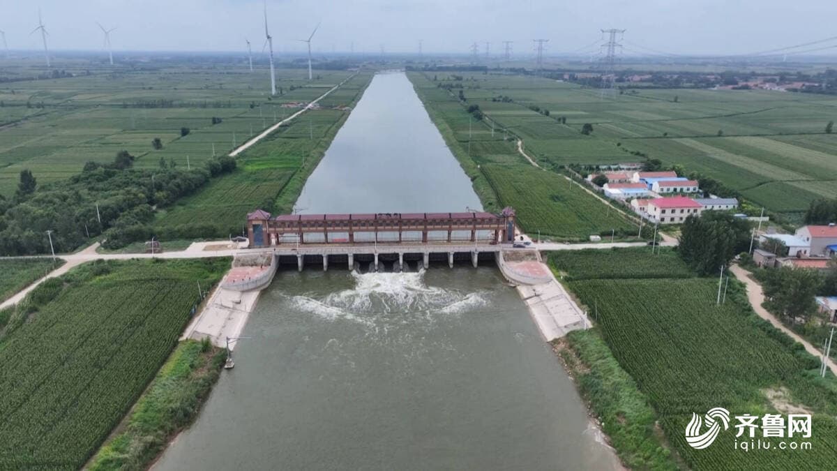 迎战台风“白海豚”!阳信县1866名抢险力量前置 筑牢防汛“安全堤”