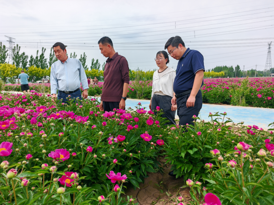滨州市农业科学院:双线联动织密服务网 精准发力赋能特色产业