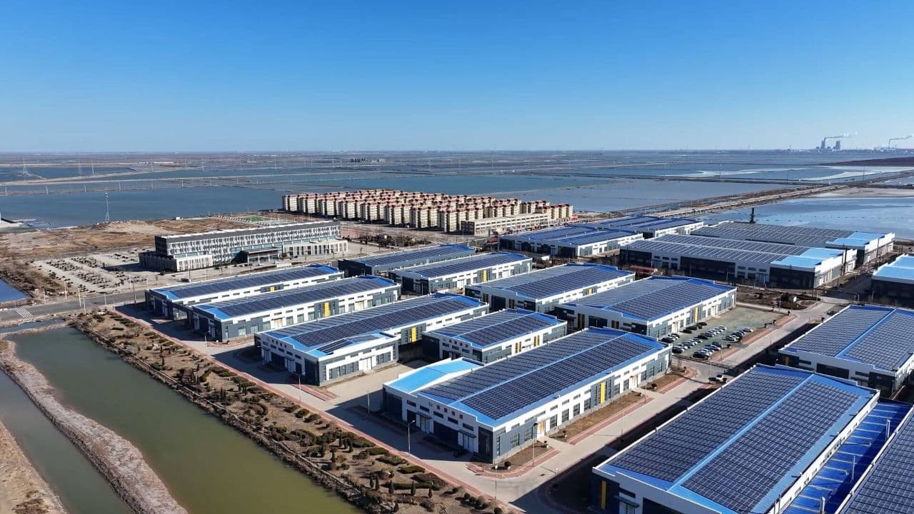 滨州北海科技孵化器以国企改革实效激活产业内生动力