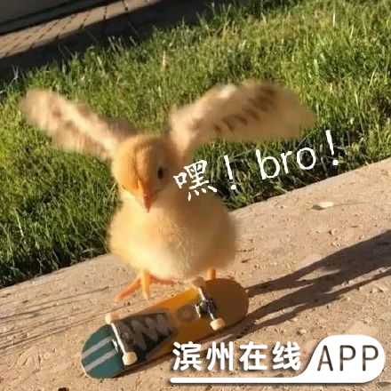 oM2T21oM52TAv5HO.jpg