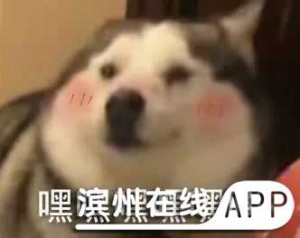 v21Fs8Fqof7nq5Mr.jpg