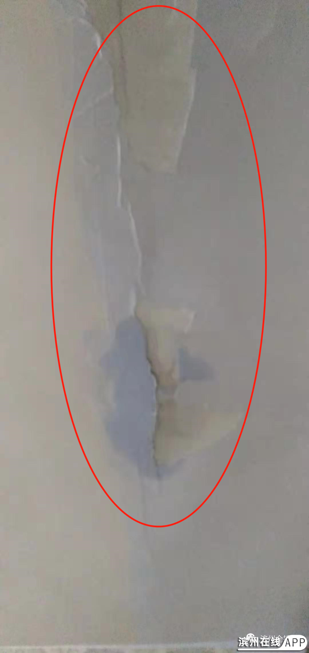 NySR1kyuWZkmtOlo.jpg
