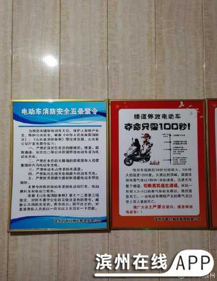 FD99Zd9sCt999tdF.jpg