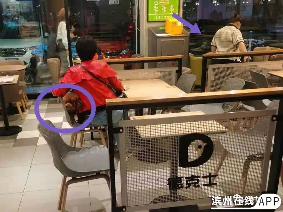 jB7qQ5P51k6NNZe8.jpg
