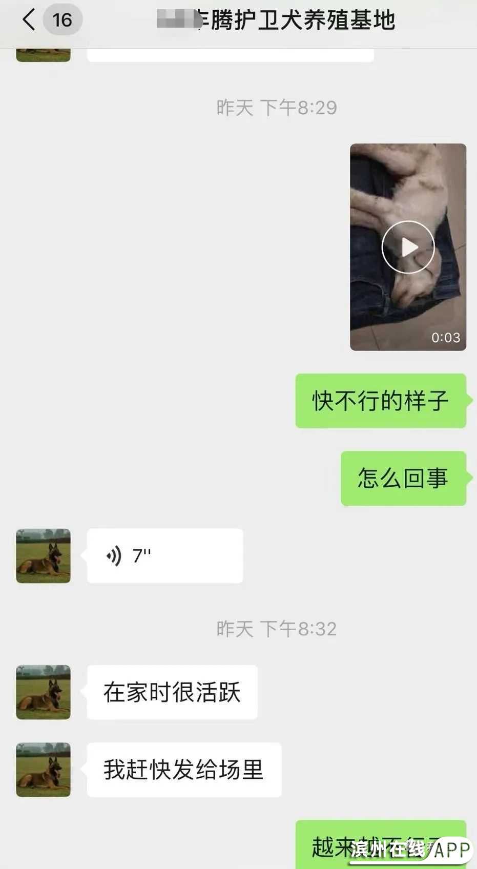 Bo51aDB5n6b1LBzB.jpg