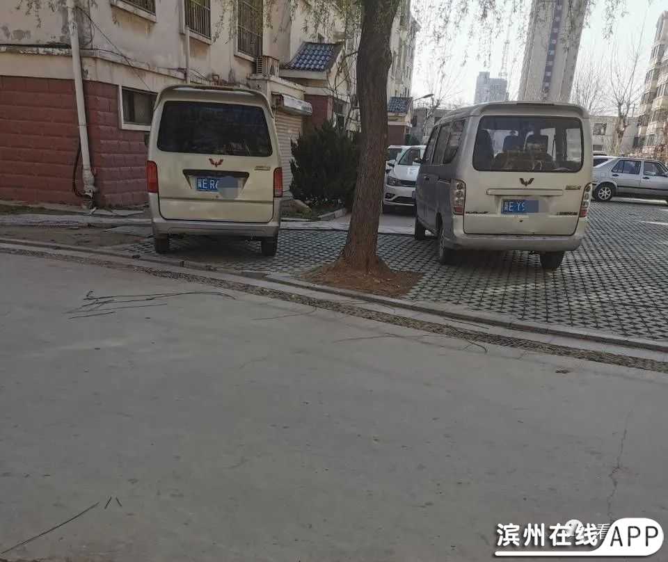 vbXHEXRx56jNzbzp.jpg