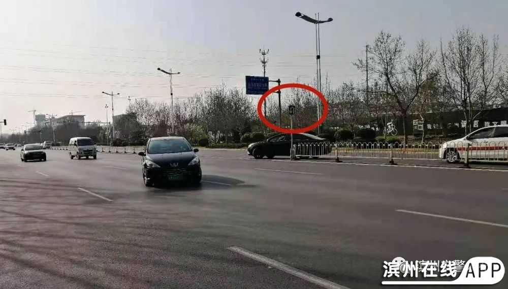 hKv6JdS6K1lJIHGv.jpg