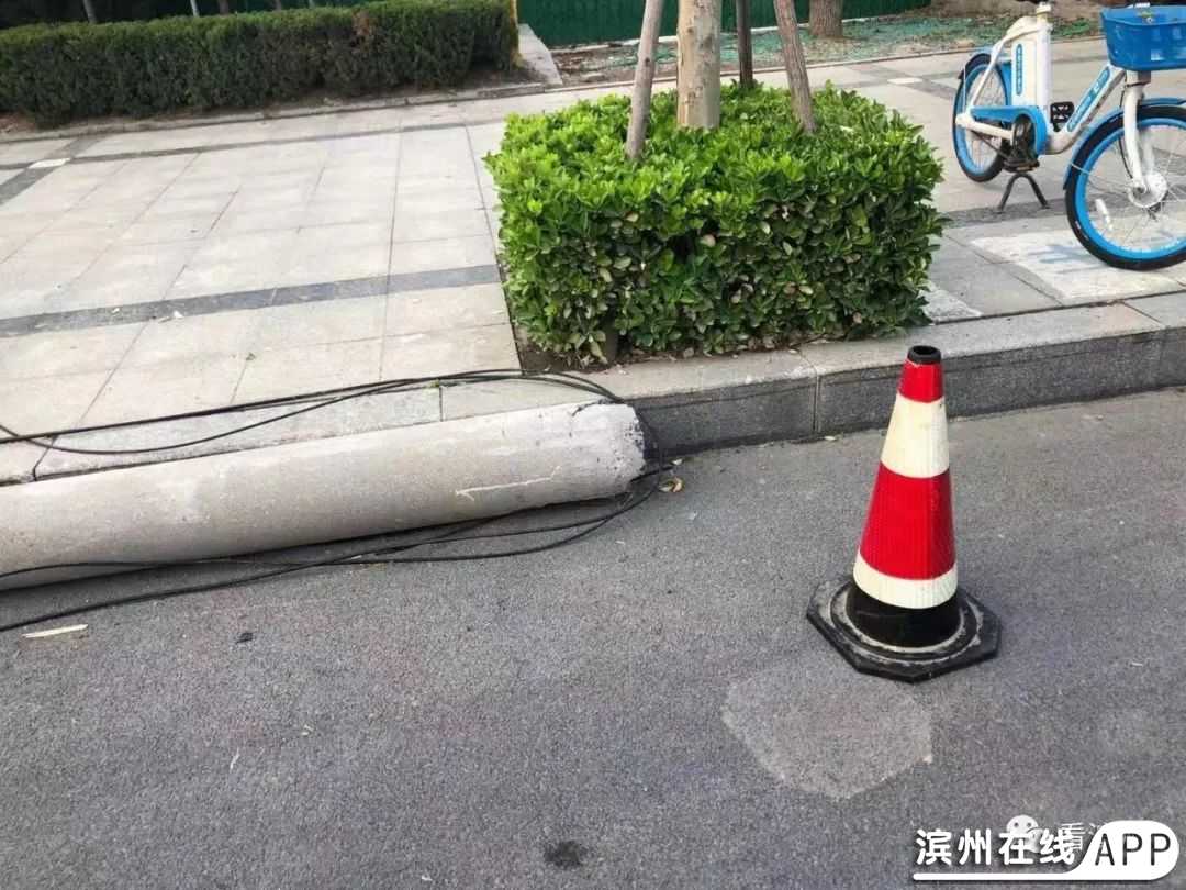 lBNQpdpy51n11Tpe.jpg