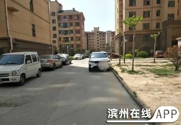 Sd1dAr97k7191Z7K.jpg