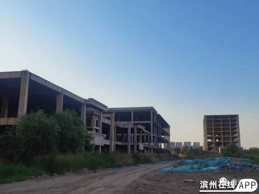 AZH06g2H8q2711q2.jpg