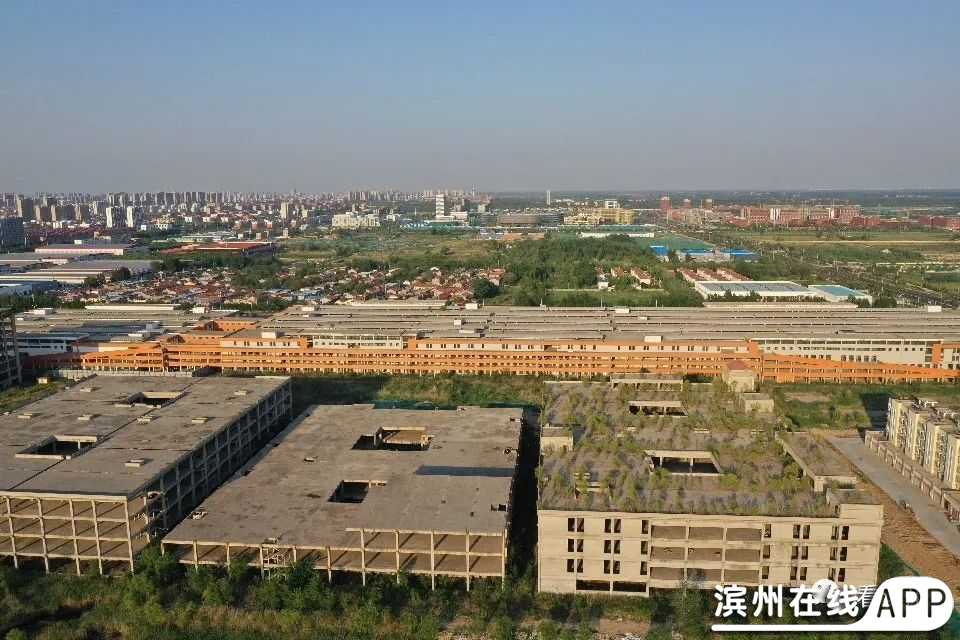bgfgk96ND89QenmN.jpg