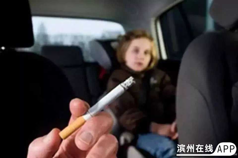 fYJ8JSi2WjY27j5I.jpg