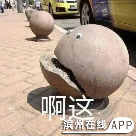 H9e84lLnM8D3qUq4.jpg