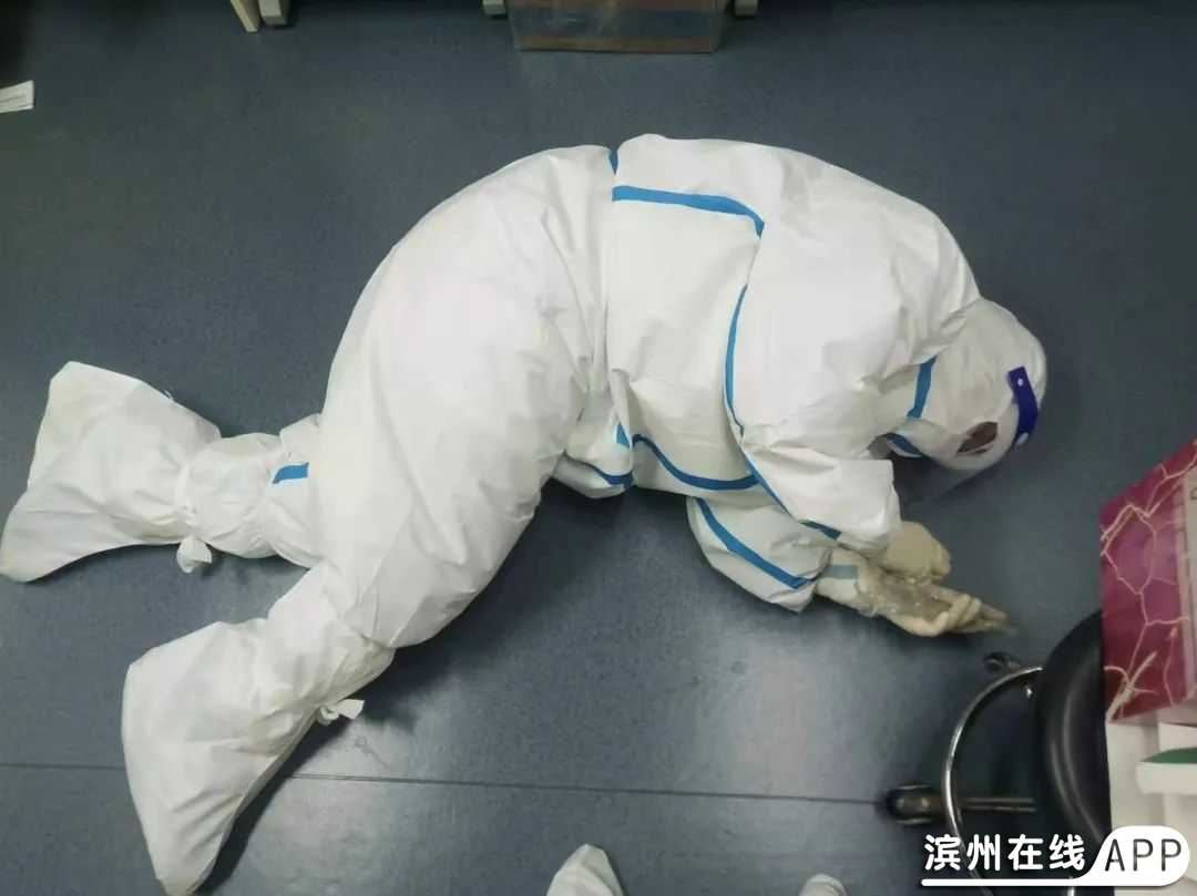 uJo4zkoUI1HKSgty.jpg