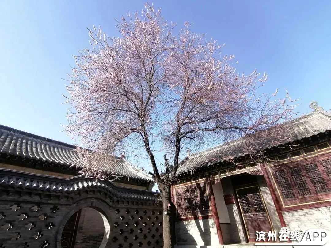 d65QdD727QbdzN27.jpg