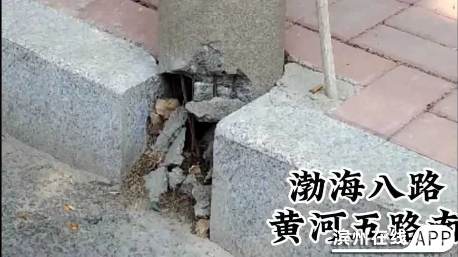 jt087t9rTMt24M99.jpg