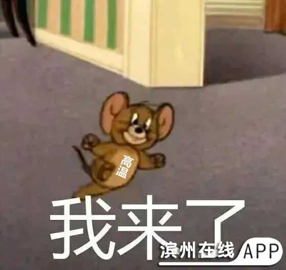 b1upRfzmFEPWfmCz.jpg