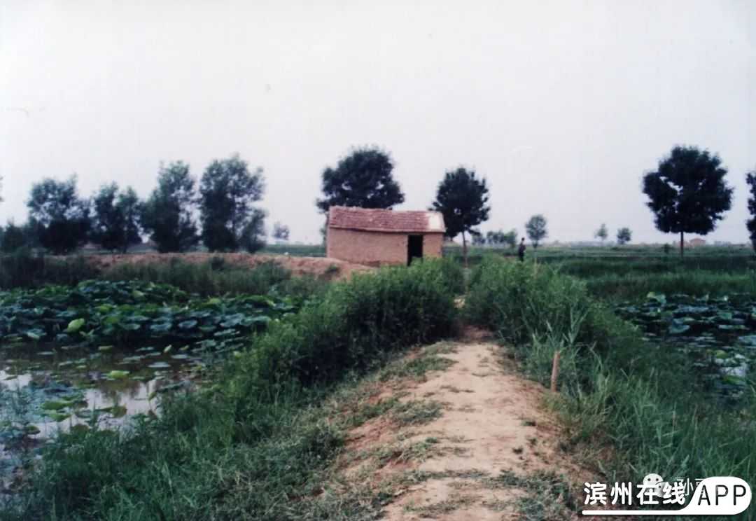 n1WGss2444IS19MO.jpg