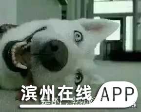 eidwLUe7Q3iUQ3RI.jpg