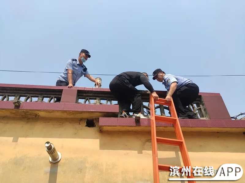 AB2551dywPdFYr55.jpg