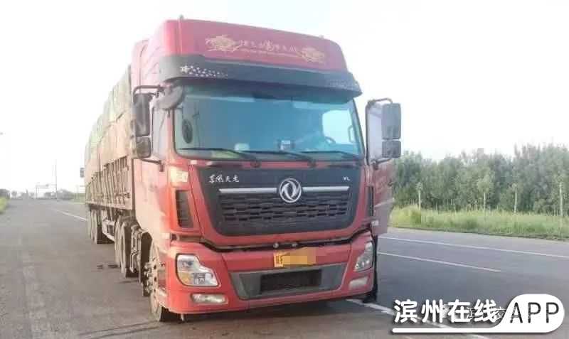 f2sd9cZlgpuDM2ML.jpg