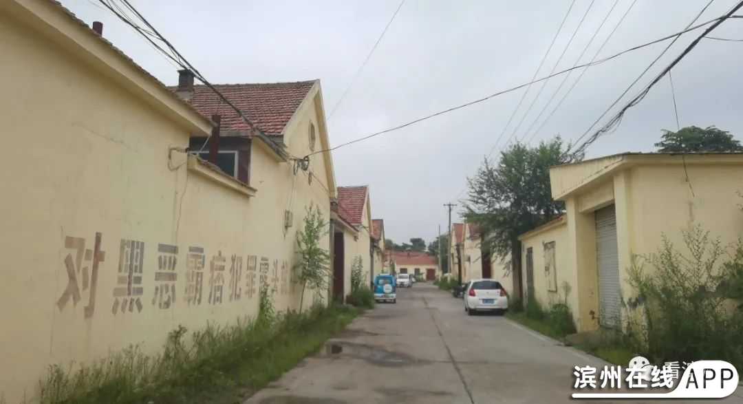 jOcUwyoK8cuwUczD.jpg