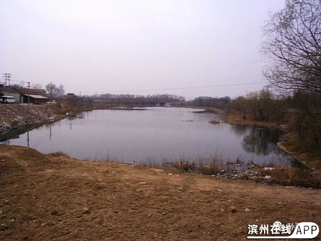 NGQq4gQYX4Yf5Cny.jpg