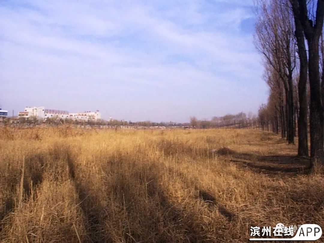 t0qffes070n75877.jpg