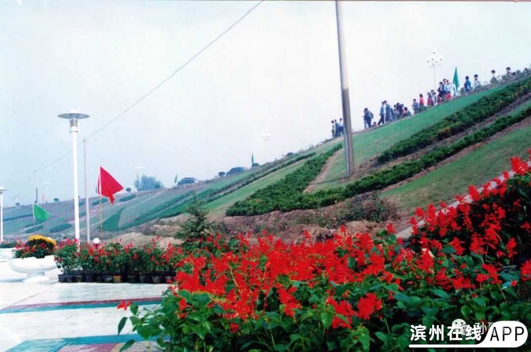 yf7cps8VZ36hcrmc.jpg