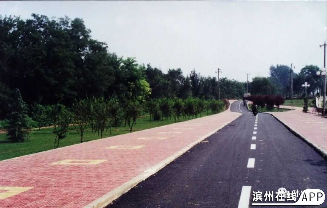 IH5JYCYho633yj31.jpg