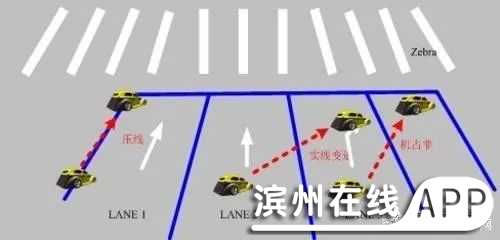rzmppPZTZd35tcTP.jpg