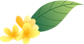 VpDQP28ddAEOSD5T.jpg
