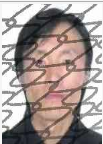 gIlKtp6Kkq3kTcTp.jpg