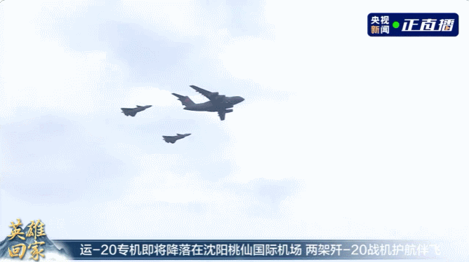 rk52Vxkon5nf5Fuz.jpg